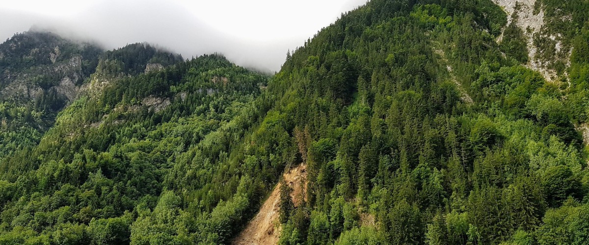 POLIÉNAS : un éboulement coupe la ligne ferroviaire Valence–Grenoble, la reprise espérée à la mi-mars