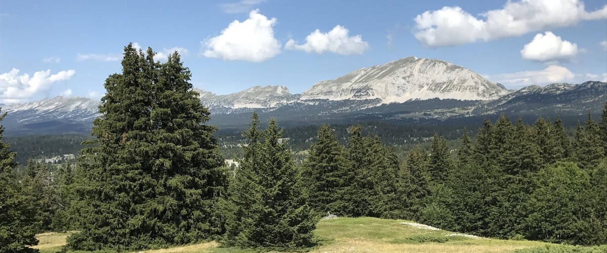 VERCORS : le massif confirme son statut de terre de champions après les Jeux olympiques 2026