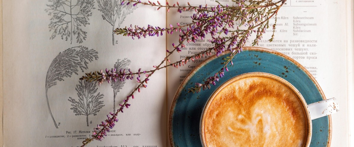 LES RECETTES DE FRANCIS : Crème Brûlée aux Champignons de Paris (4 personnes)