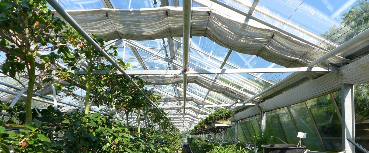 SAINT-MARTIN-D'HÈRES : Le centre horticole de Grenoble ouvre ses portes au public le 25 avril