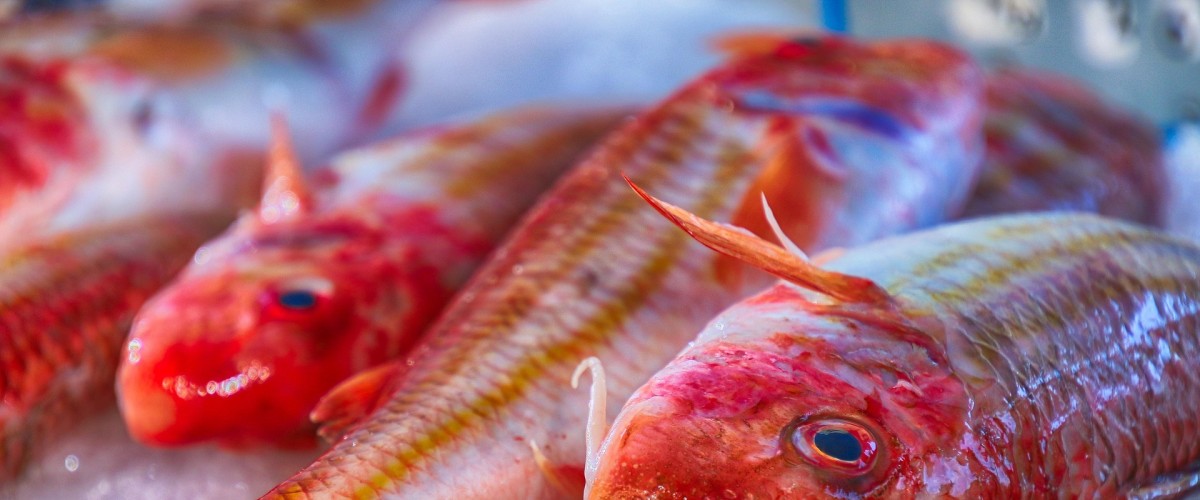 LES RECETTES DE FRANCIS : Petit Rouget en Papillotes (4 personnes)