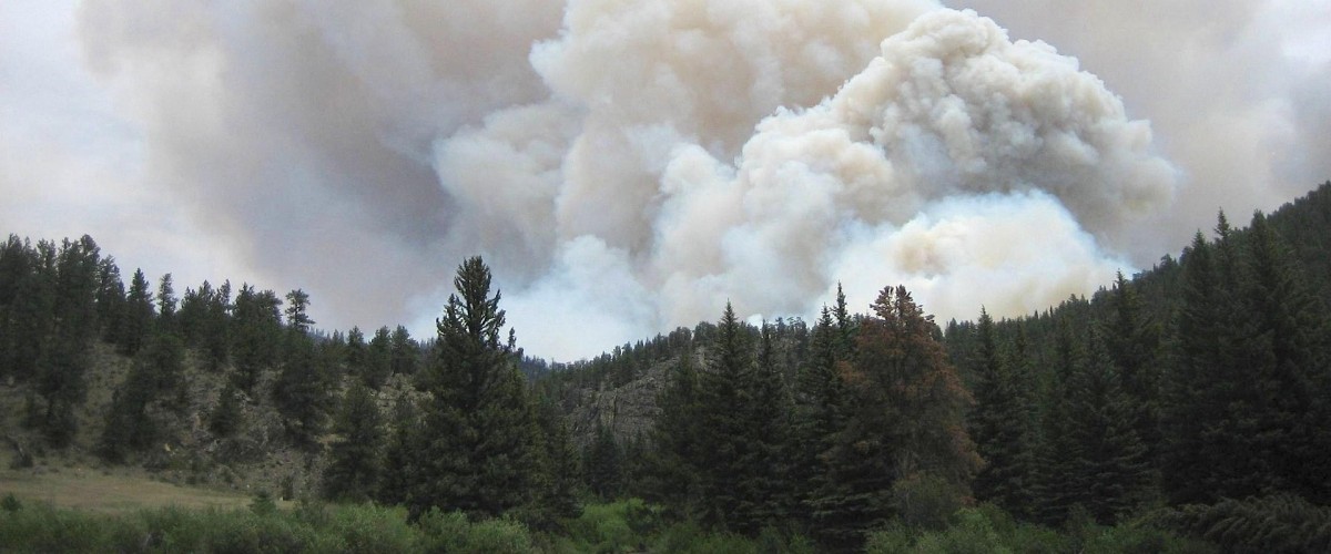 GRENOBLE : L'Isère renforce sa vigilance face au risque de feux de forêt