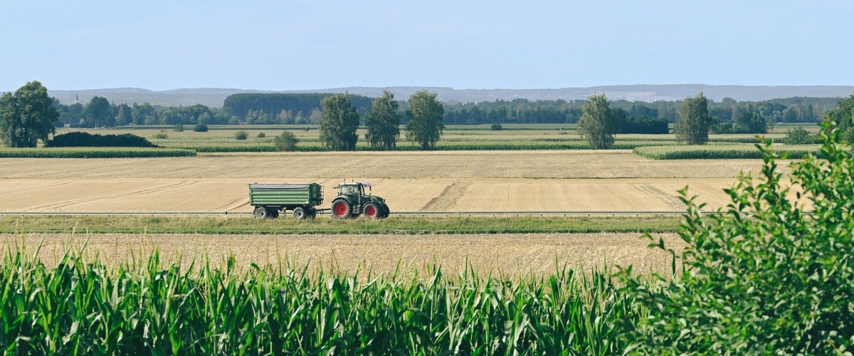 ISÈRE : Des fermes et producteurs locaux ouvrent leurs portes pour « Manger Bio et Local »