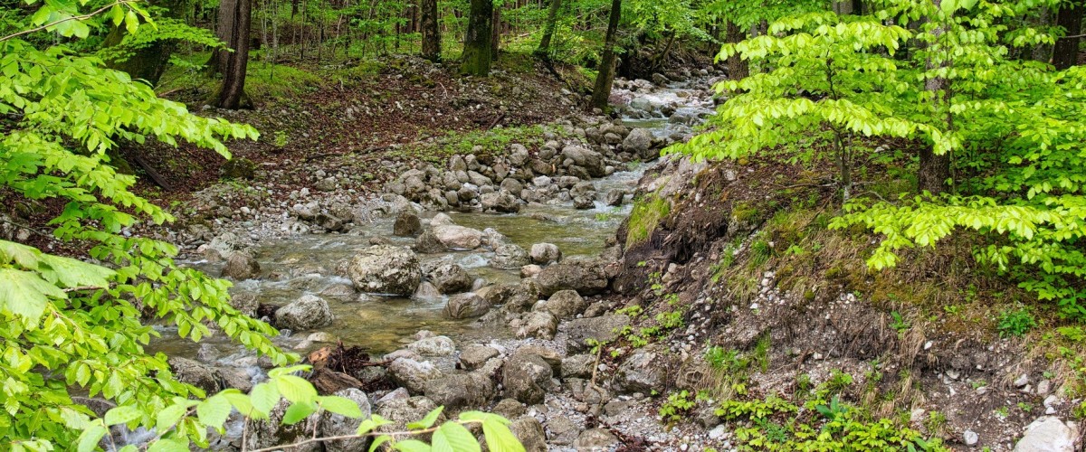 CROLLES-LUMBIN : Cinq seuils du torrent de Montfort renforcés après la crue de 2021