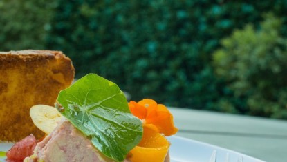 Les Recettes de Francis : Foie Gras de Canard en Terrine