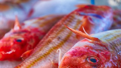LES RECETTES DE FRANCIS : Petit Rouget en Papillotes (4 personnes)