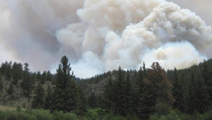 GRENOBLE : L'Isère renforce sa vigilance face au risque de feux de forêt