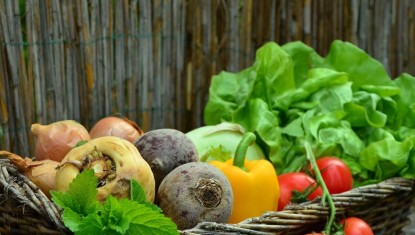 LES RECETTES DE FRANCIS : Salade de légumes (4 personnes)