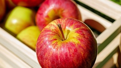 LES RECETTES DE FRANCIS : Tian Pommes Poires + Crème d’Amandes (4 personnes)