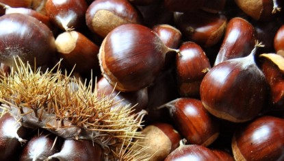 LES RECETTES DE FRANCIS : Pavé Glacé aux Châtaignes (8 personnes)