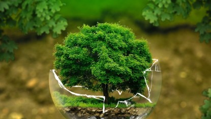 ISÈRE : L’ONF met gratuitement en ligne plus de 100 ressources pour mieux comprendre la forêt